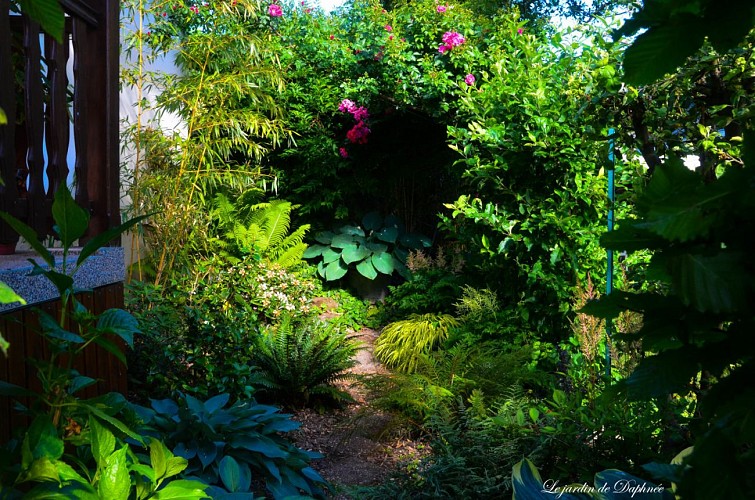 Le jardin de Daphnée