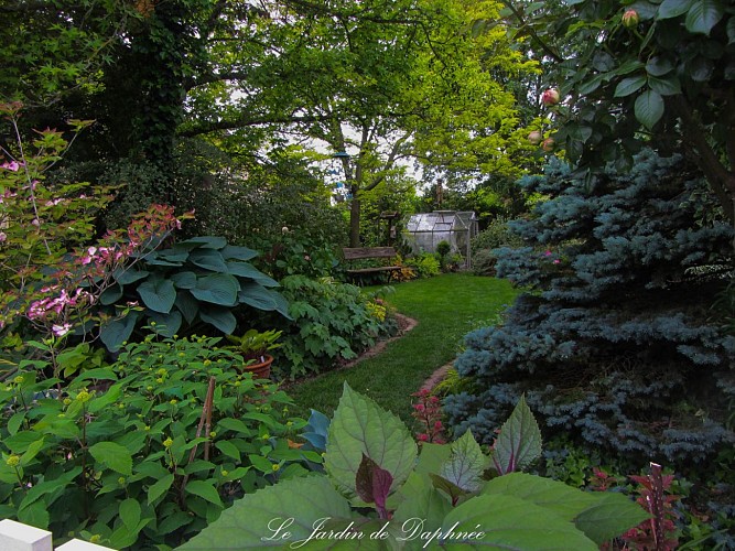 Le jardin de Daphnée