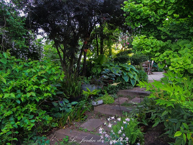 Le jardin de Daphnée
