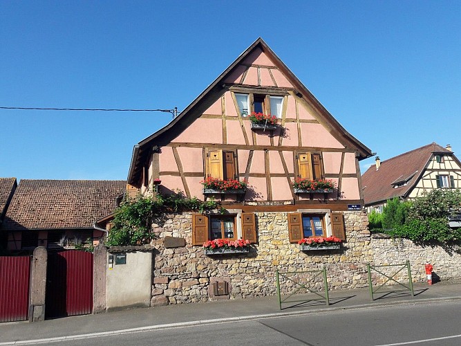 Meublé de tourisme de Jean-Paul FLECHER - Pavot du Ried