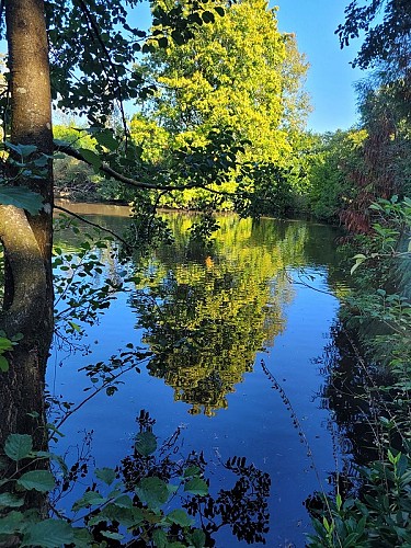 chateau_rucquetiree_etang