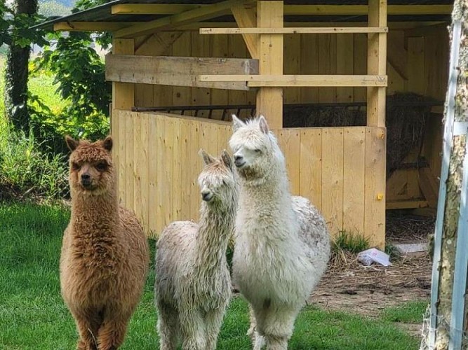 Gîtes de France® - Coquelicot
