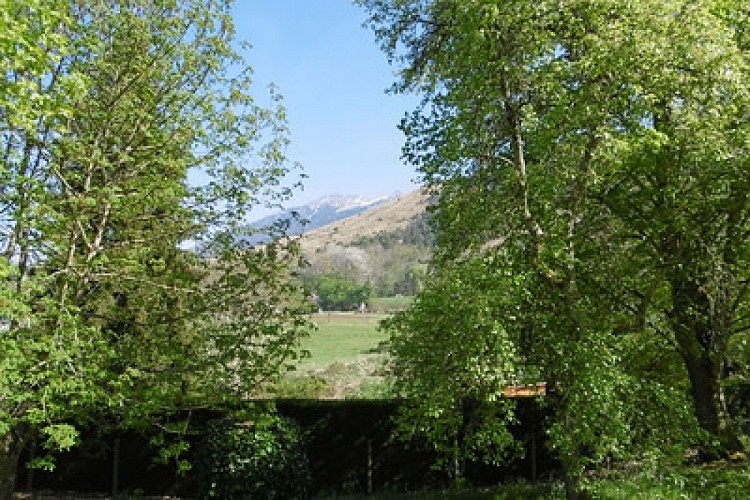GITE DU RUISSEAU