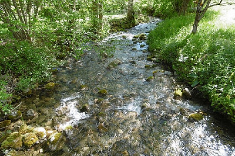 GITE DU RUISSEAU
