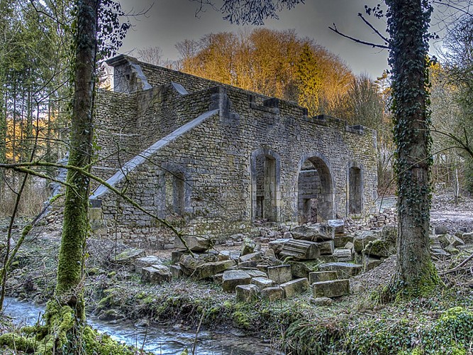 Vestiges de l'abbaye Sainte-Marie de Mureau