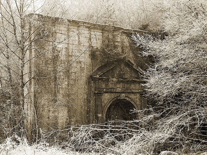 Vestiges de l'abbaye Sainte-Marie de Mureau