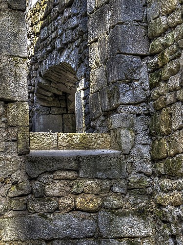 Vestiges de l'abbaye Sainte-Marie de Mureau