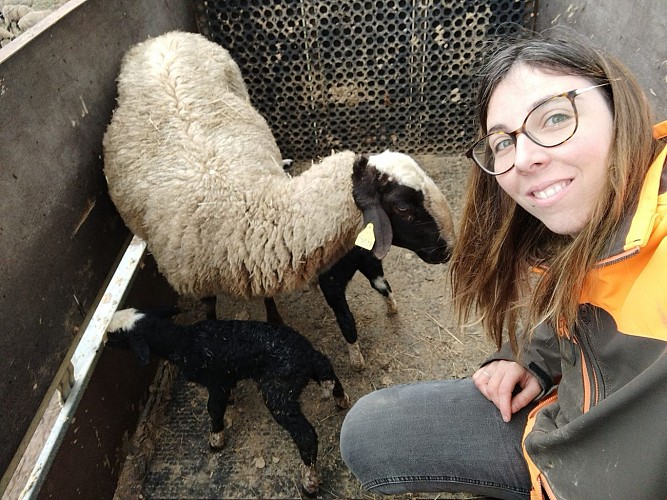 Ferme de Montardy Wendy