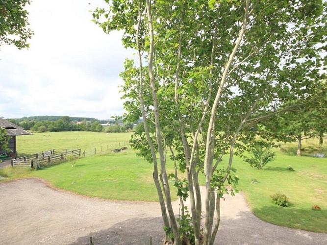 Gîtes de France® - Le Grand Tatou N°18