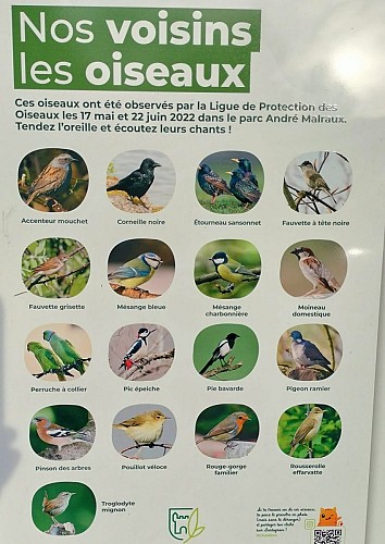 Oiseaux