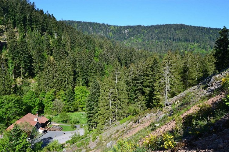 La scierie du lancoir