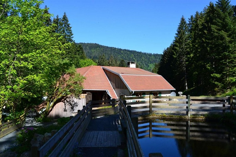 La Scierie du Lançoir