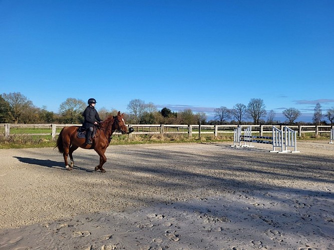 Centre équestre Les grands galops Moyaux 2