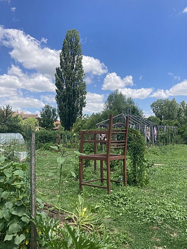 Artistic Structures with Vegetable Use