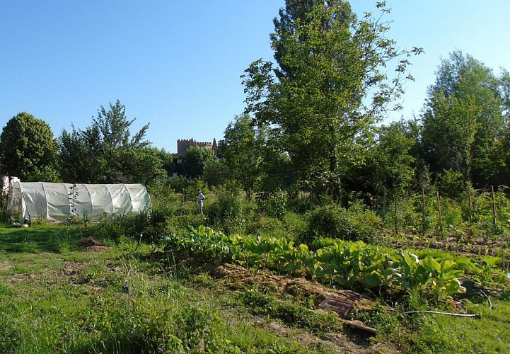 Bouche a Oreille kitchen garden