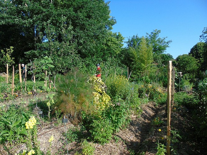 Bouche a Oreille kitchen garden