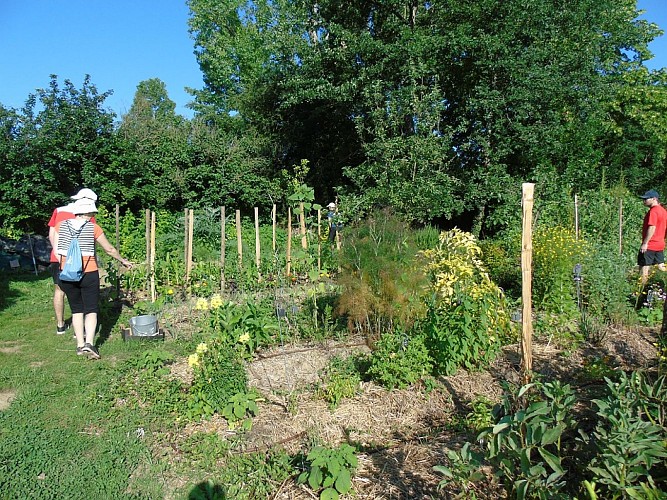 Bouche a Oreille kitchen garden