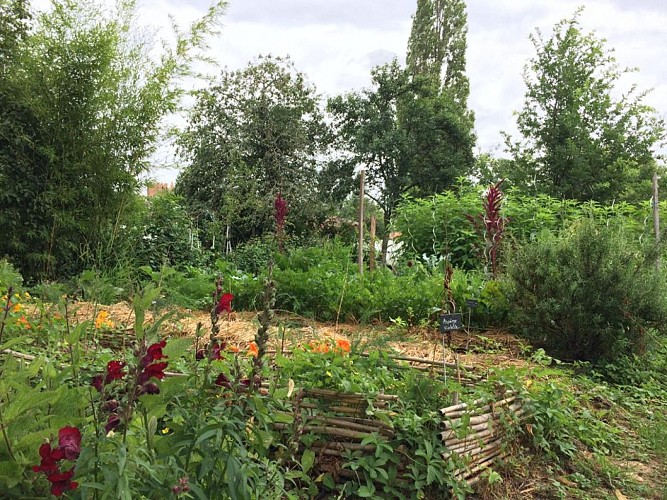 Bouche a Oreille kitchen garden