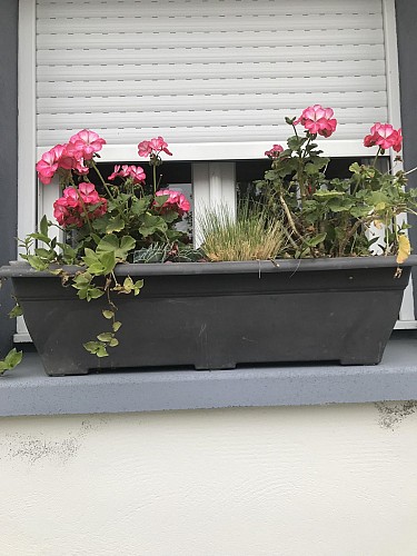 Au repos de Bellotte