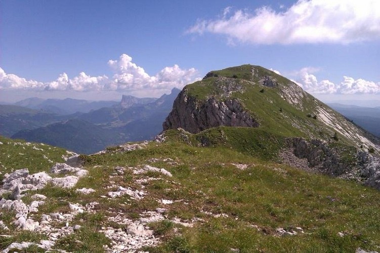 Tête des chaudières