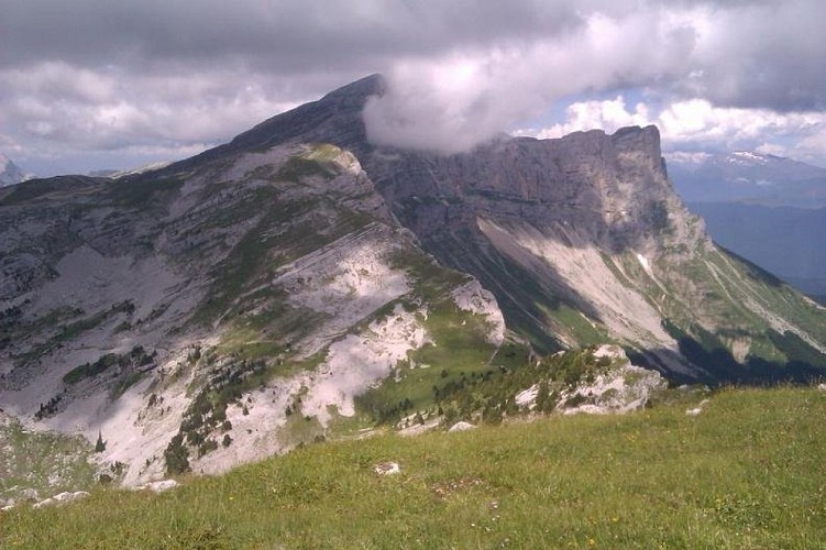 Tête des chaudières