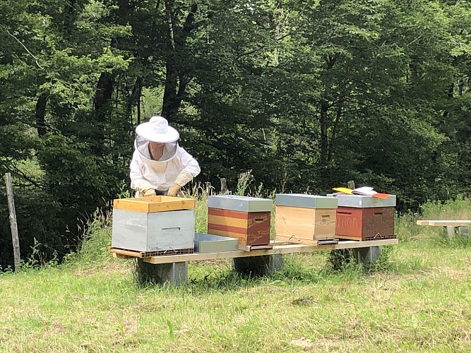 Trésor des Collines Apiculture