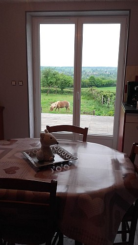 le gite de loulou et minette 7