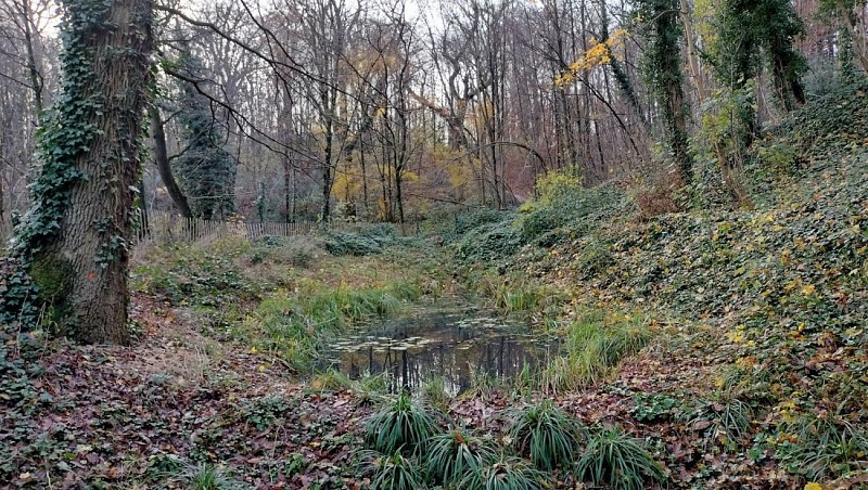 Mare du Parc Henri Sellier