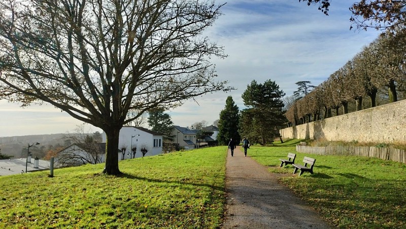 En bas de la terrasse
