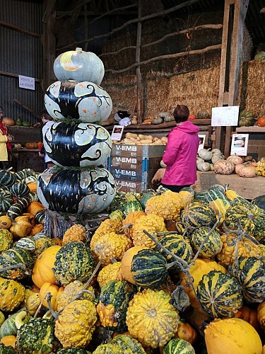 Marché aux Cucurbitacées : 26ème édition
