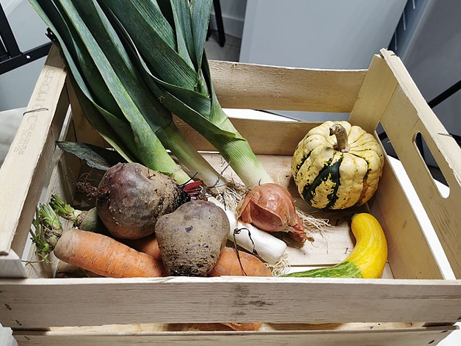 Marché aux Cucurbitacées : 26ème édition