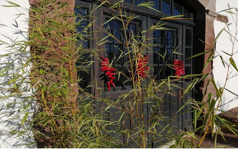 Le relais vers la source-Çaro