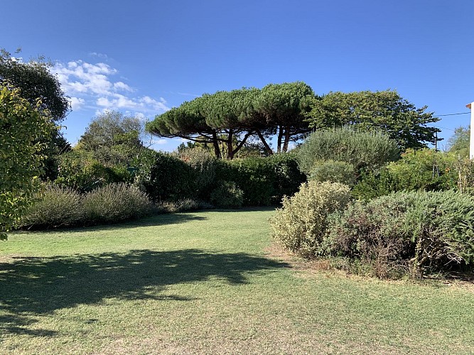 Chambres d'hôtes - LA TOULINE PLAGE