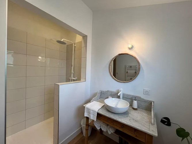 Salle de bain : douche et lavabo