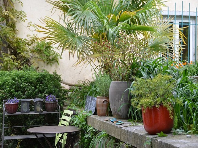 Gîte La Cabane_fleur-aste