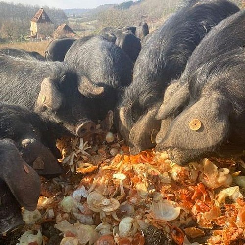 417361593_17986831235537810_1660439537767318746_n