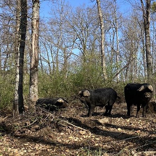 342508633_3616981071850625_3222443056488562967_n