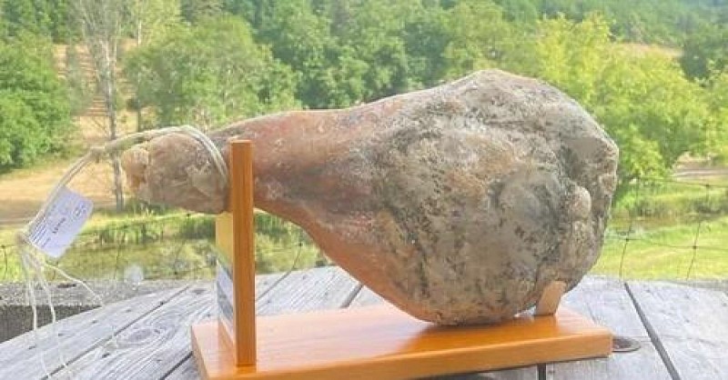 10913615638104436542