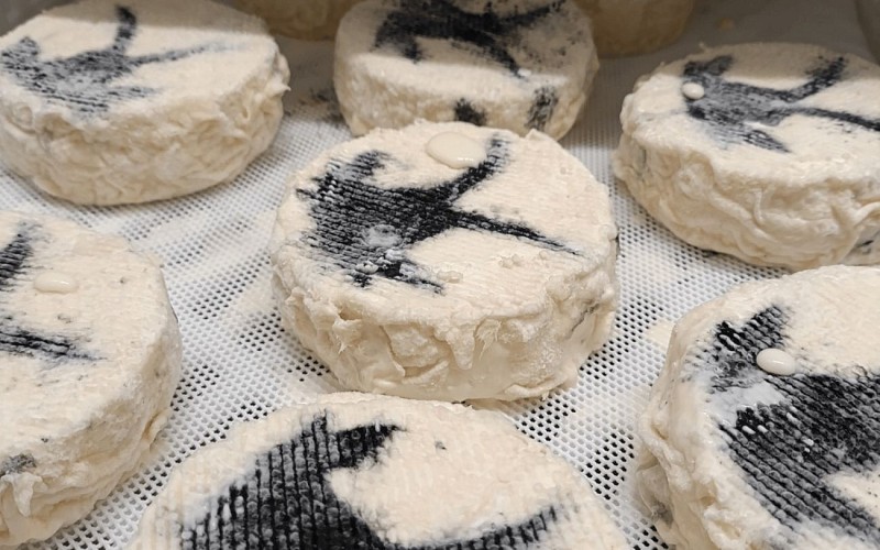 Fromages chèvres - Soule