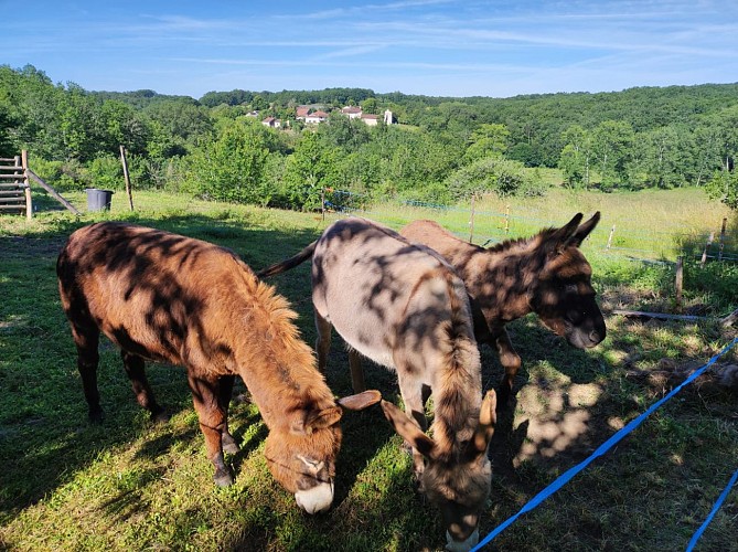 448406111_858200136332396_1762257628990981195_n