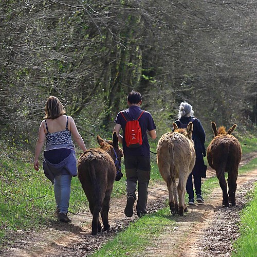 472389309_1035947345003704_5561193858921192167_n