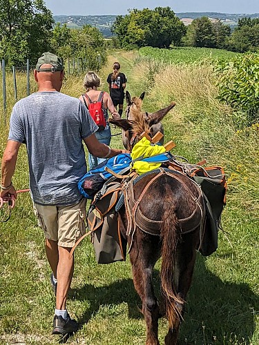 2025 Sensori'Ane PAUSSAC SAINT VIVIEN (5)