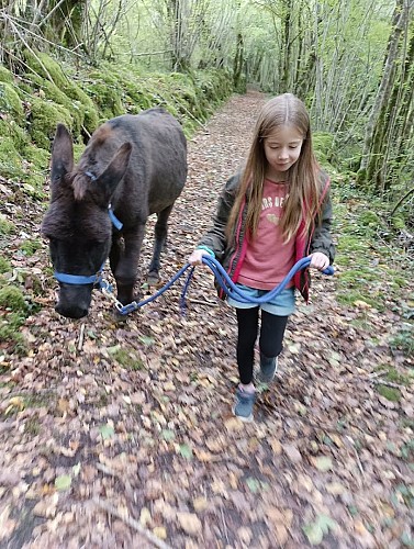 2025 Sensori'Ane PAUSSAC SAINT VIVIEN (1)