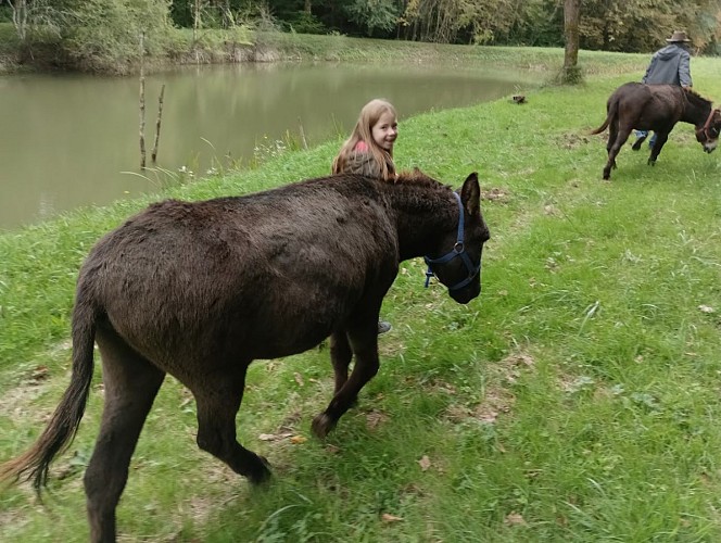 2025 Sensori'Ane PAUSSAC SAINT VIVIEN (2)