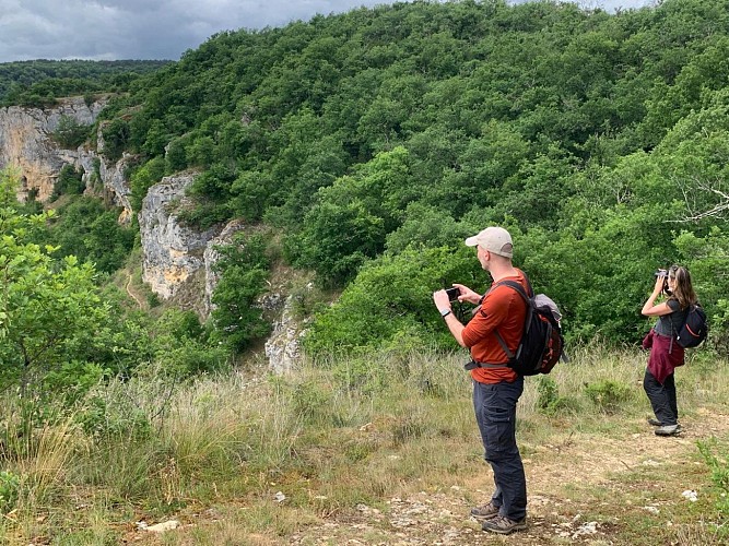 Les Chemins du Vivant