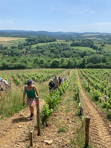 Les Chemins du Vivant