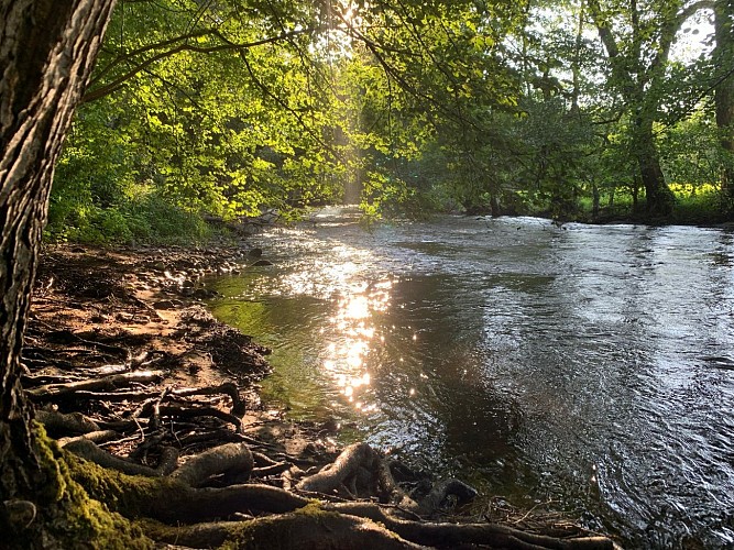 Les Chemins du Vivant