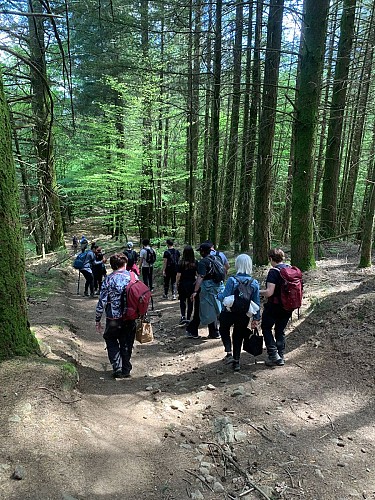 Les Chemins du Vivant