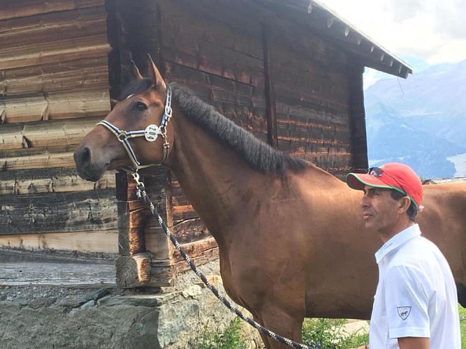 Ecurie du Dropt Driss1 2025