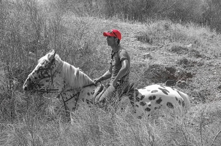 Ecurie du Dropt Driss3 2025